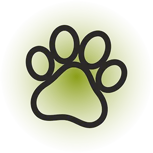 Розстрочка monobank