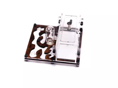 Мурашина ферма «Final Farm»