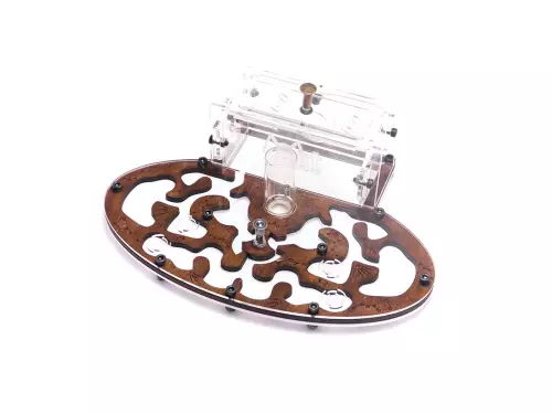 Формікарій «Planet Forest Style»