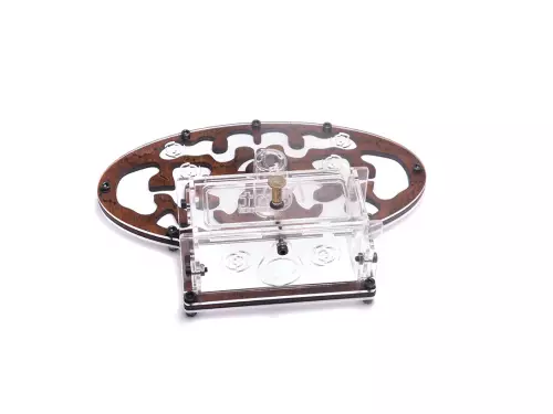 Формікарій «Planet Forest Style»