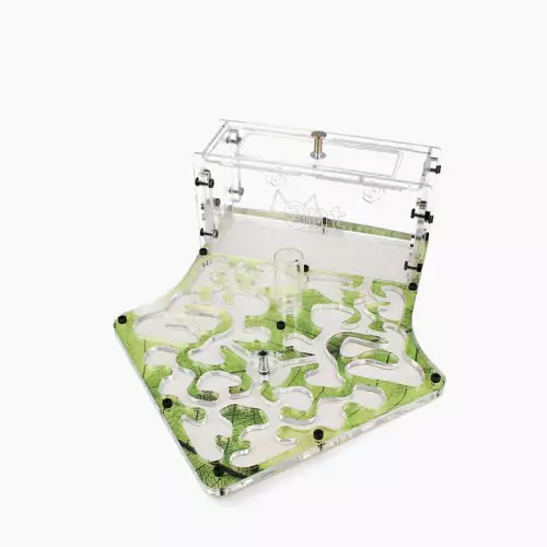 Мурашина ферма “The Shovel”