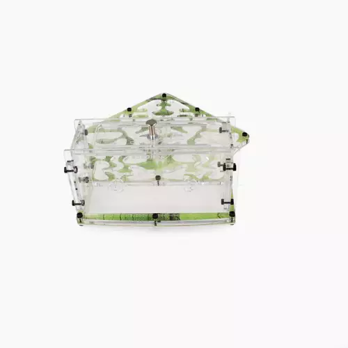 Мурашина ферма “The Shovel”