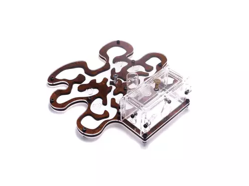 Мурашина ферма “Blotter Forest Style”