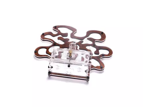 Мурашина ферма “Blotter Forest Style”