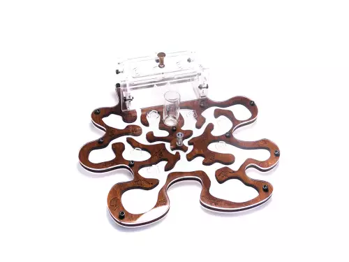 Мурашина ферма “Blotter Forest Style”