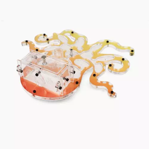 Мурашина ферма “Kraken”