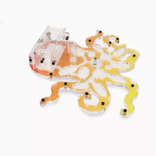 Мурашина ферма “Kraken”