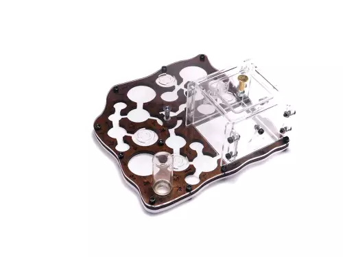 Мурашина ферма “World of Goo Forest Style”