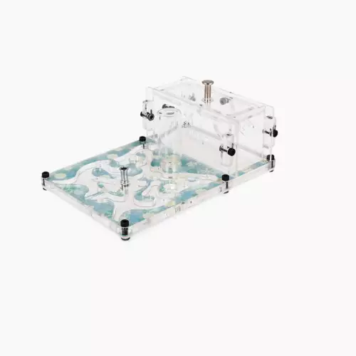 Ферма мурах “Butterfly Effect”