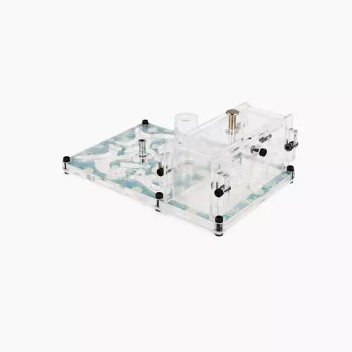 Ферма мурах “Butterfly Effect”