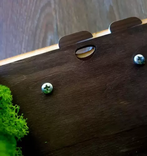 Вертикальна мурашина ферма “Flora”