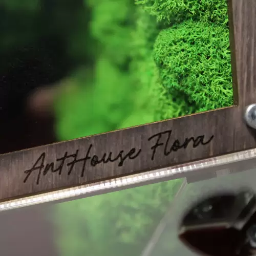 Вертикальна мурашина ферма “Flora Plus”