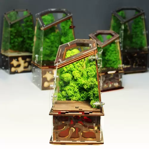 Вертикальна мурашина ферма “Flora”