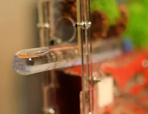 Вертикальна мурашина ферма «Pena Farm»