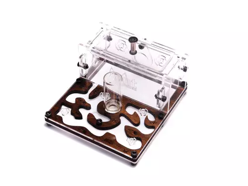 Мурашина ферма «Final Farm»