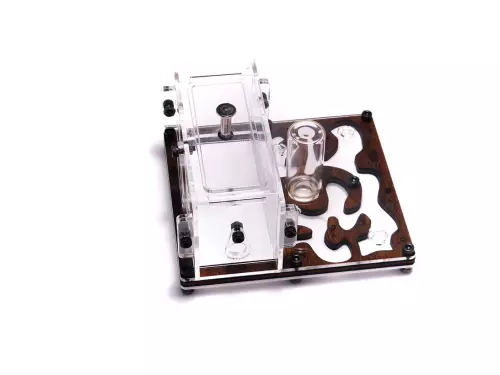 Мурашина ферма «Final Farm»