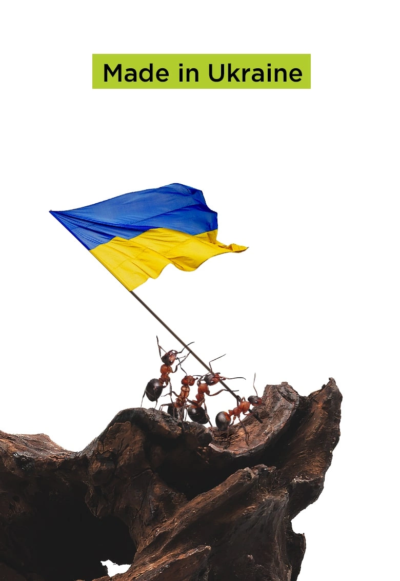 мурашина ферма флора