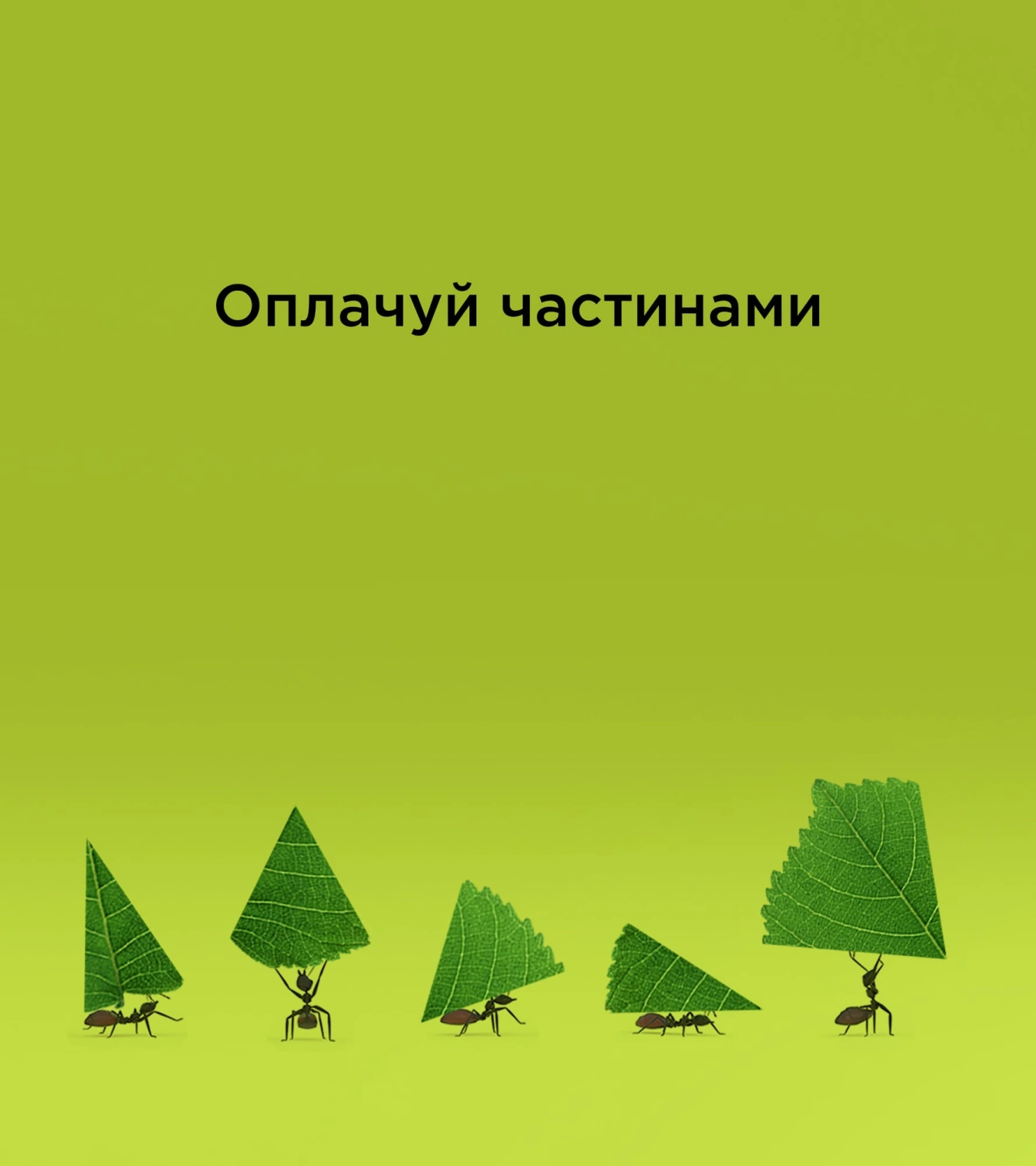 Оплачуй частинами