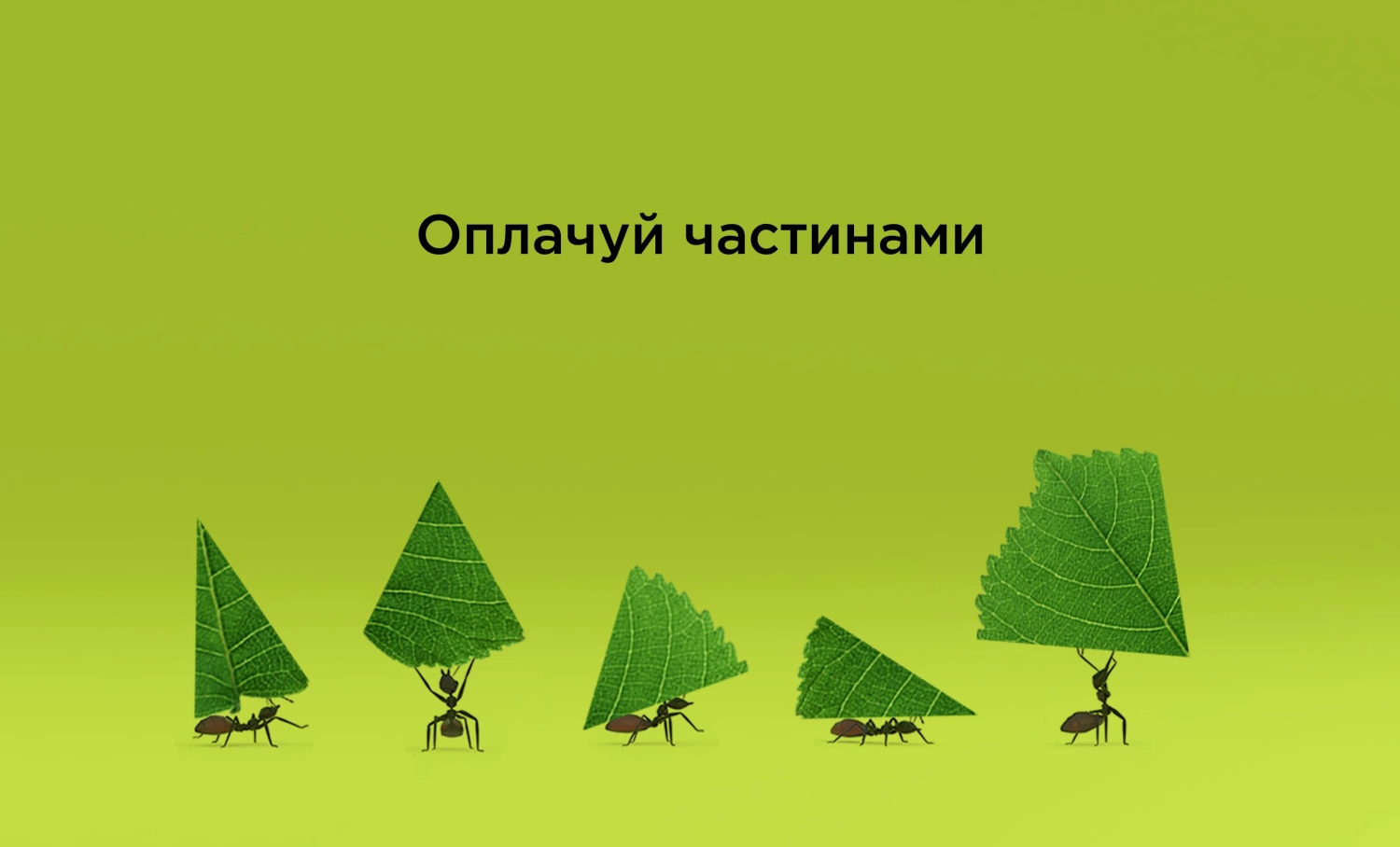 Оплачуй частинами