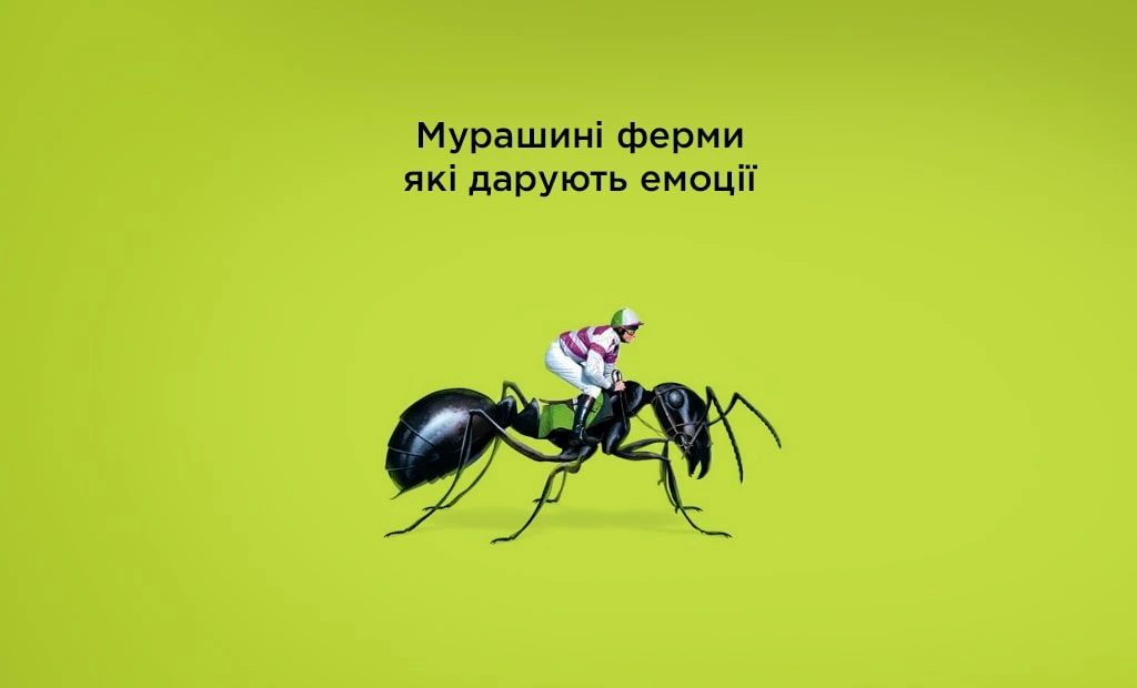 Мурашині ферми які дарують емоції