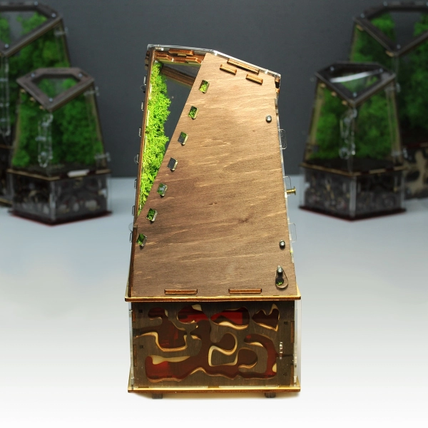 Вертикальна мурашина ферма “Flora Plus”