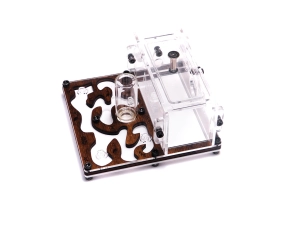 Мурашина ферма «Final Farm»