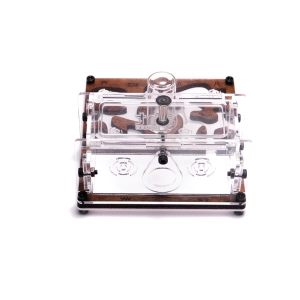 Мурашина ферма «Final Farm»