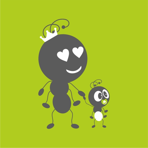 Мурашки виду «Messor Structor» (мурахи-женці): матка та понад 20 робочих особин + розплід