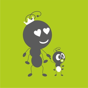 Мурашки виду «Messor Structor» (мурахи-женці): матка та понад 20 робочих особин + розплід