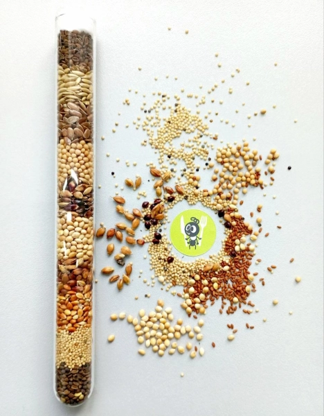 Річний запас корму для «Messor Structor» (мурахи-женці)