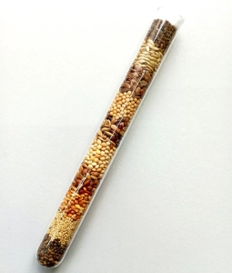 Річний запас корму для «Messor Structor» (мурахи-женці)