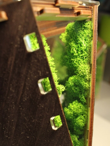 Вертикальна мурашина ферма “Flora”