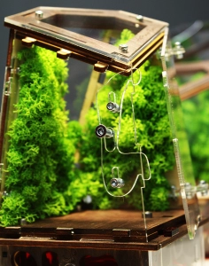 Вертикальна мурашина ферма “Flora”