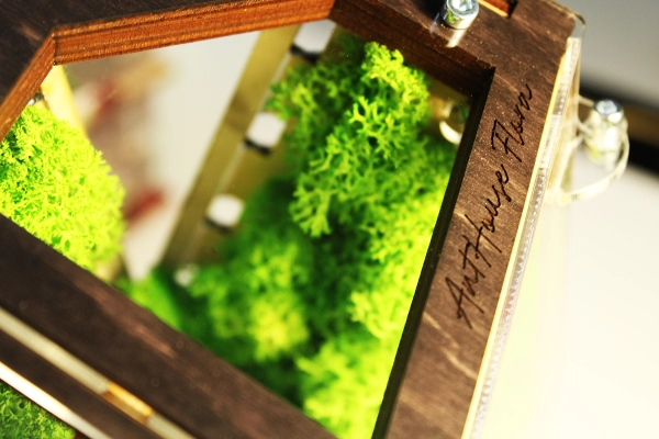 Вертикальна мурашина ферма “Flora”