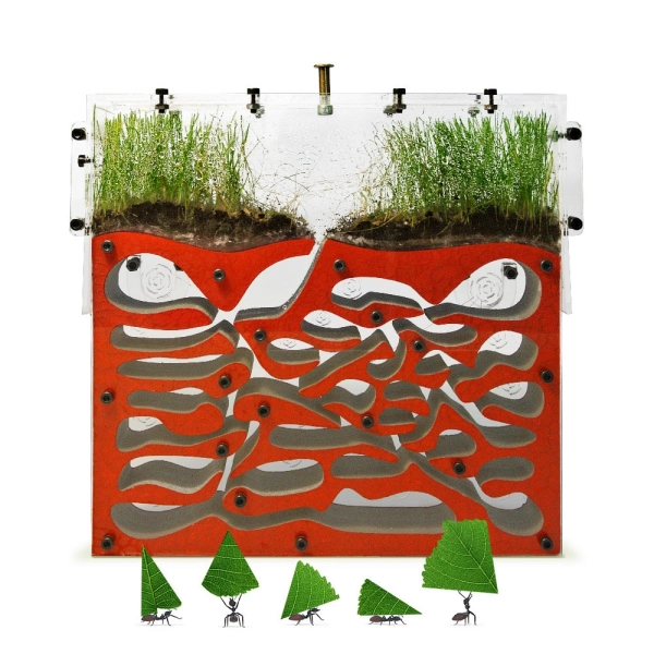 Вертикальна мурашина ферма «Pena Farm»