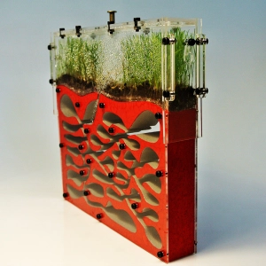 Вертикальна мурашина ферма «Pena Farm»