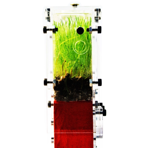 Вертикальна мурашина ферма «Pena Farm»