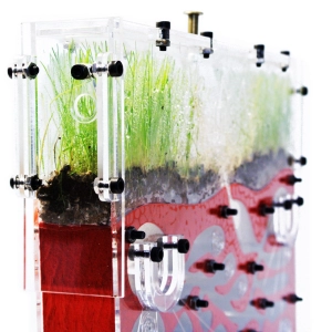 Вертикальна мурашина ферма «Pena Farm»