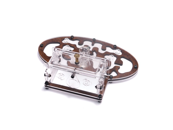 Формікарій «Planet Forest Style»