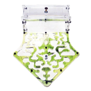 Мурашина ферма “The Shovel”