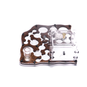 Мурашина ферма “World of Goo Forest Style”