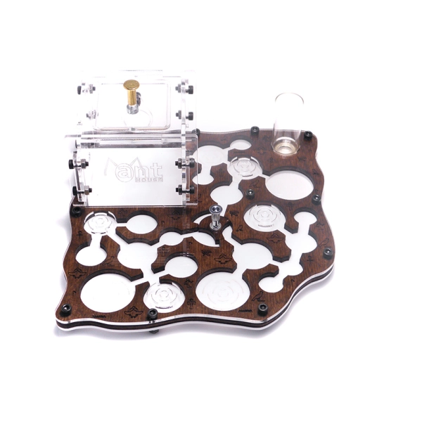 Мурашина ферма “World of Goo Forest Style”