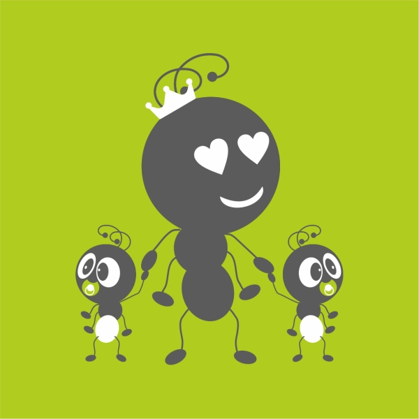 Мурашки виду «Messor Structor» (мурахи-женці): матка та понад 35 робочих особин + розплід